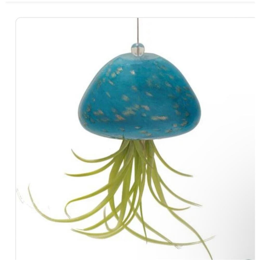 The Ultimate Innovations Jellyfish Colored Glass Air Plant Hanging Globe 2